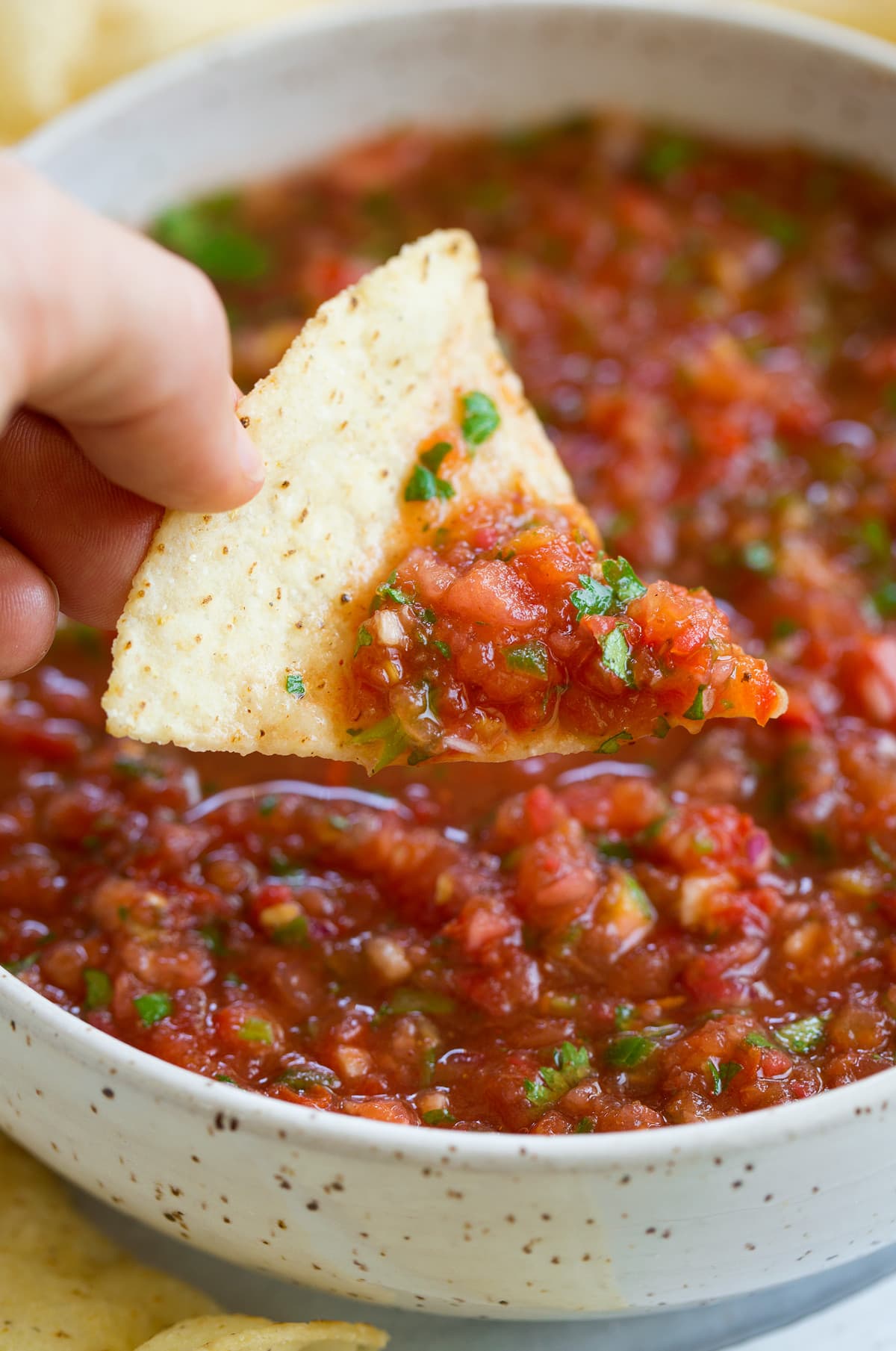 Homemade Salsa recipe dipping a tortilla chip into a bowl of salsa