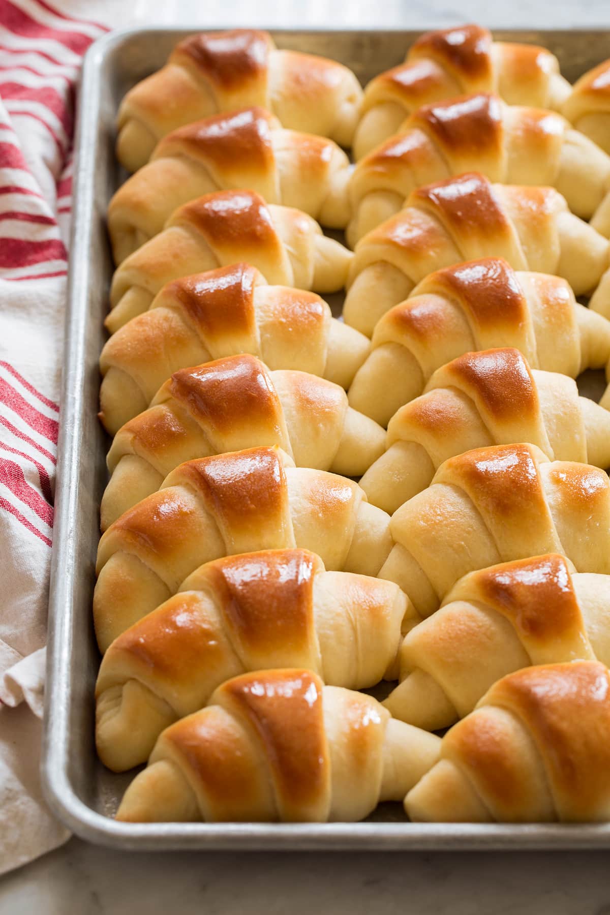 Best Dinner Rolls Sheet pan filled with rows of baked dinner rolls.