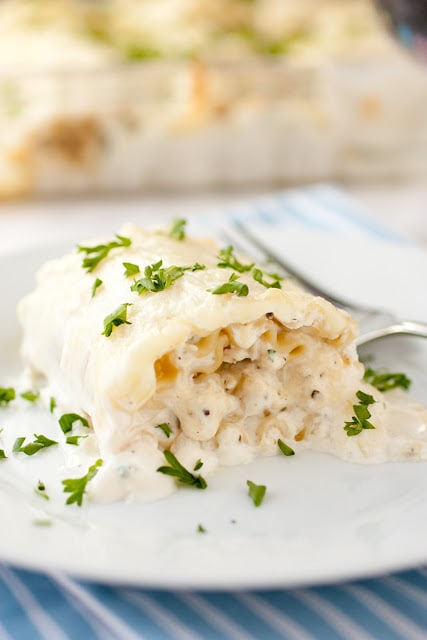White Chicken Lasagna Roll Ups