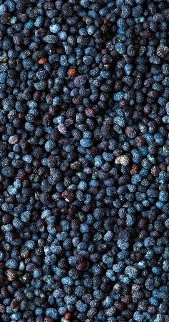 Poppy Seeds | Cooking Classy