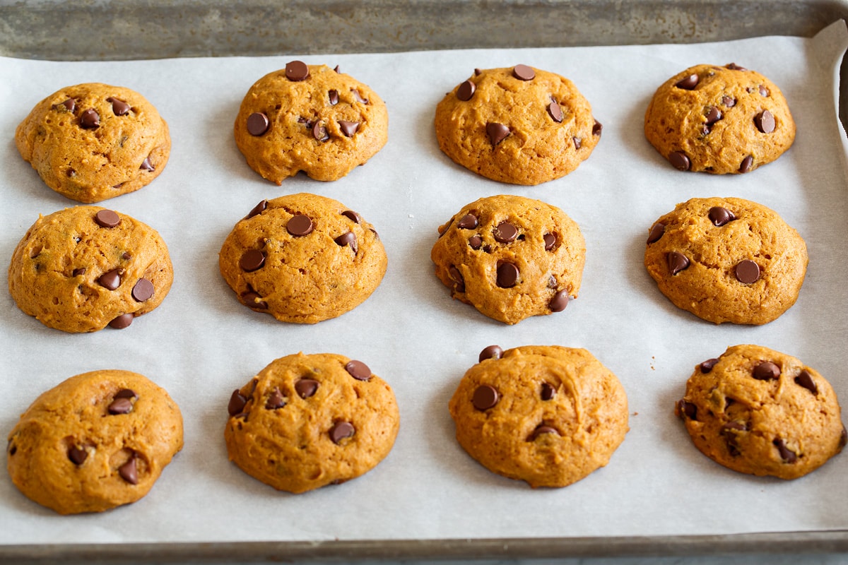 Pumpkin Chocolate Chip Cookies Twelve pumpkin chocolate chip cookies shown on a baking sheet on parchment paper after baking.