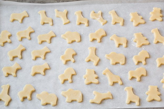 unfrosted circus animal cookies on baking sheet