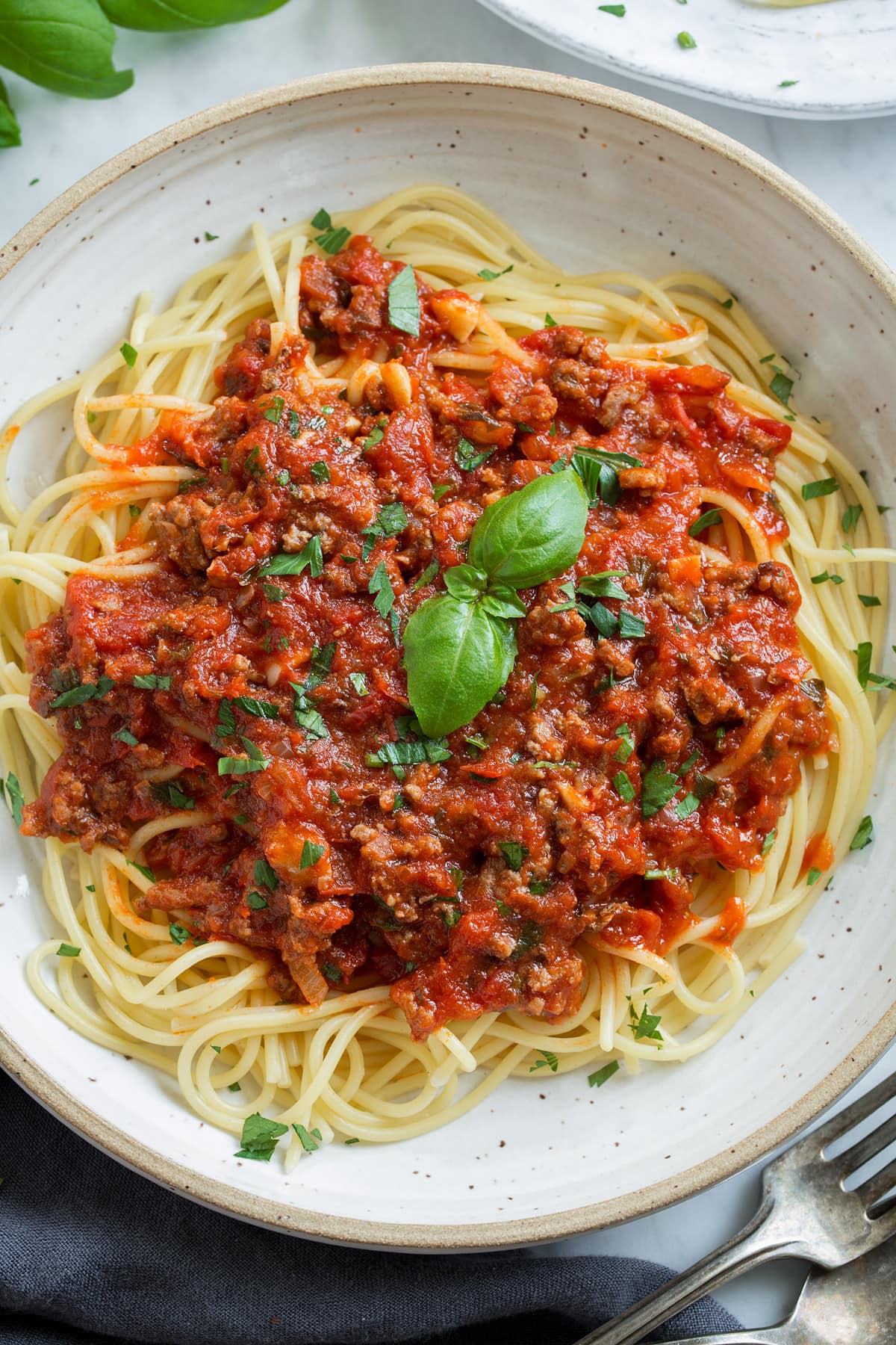 Homemade Spaghetti Sauce