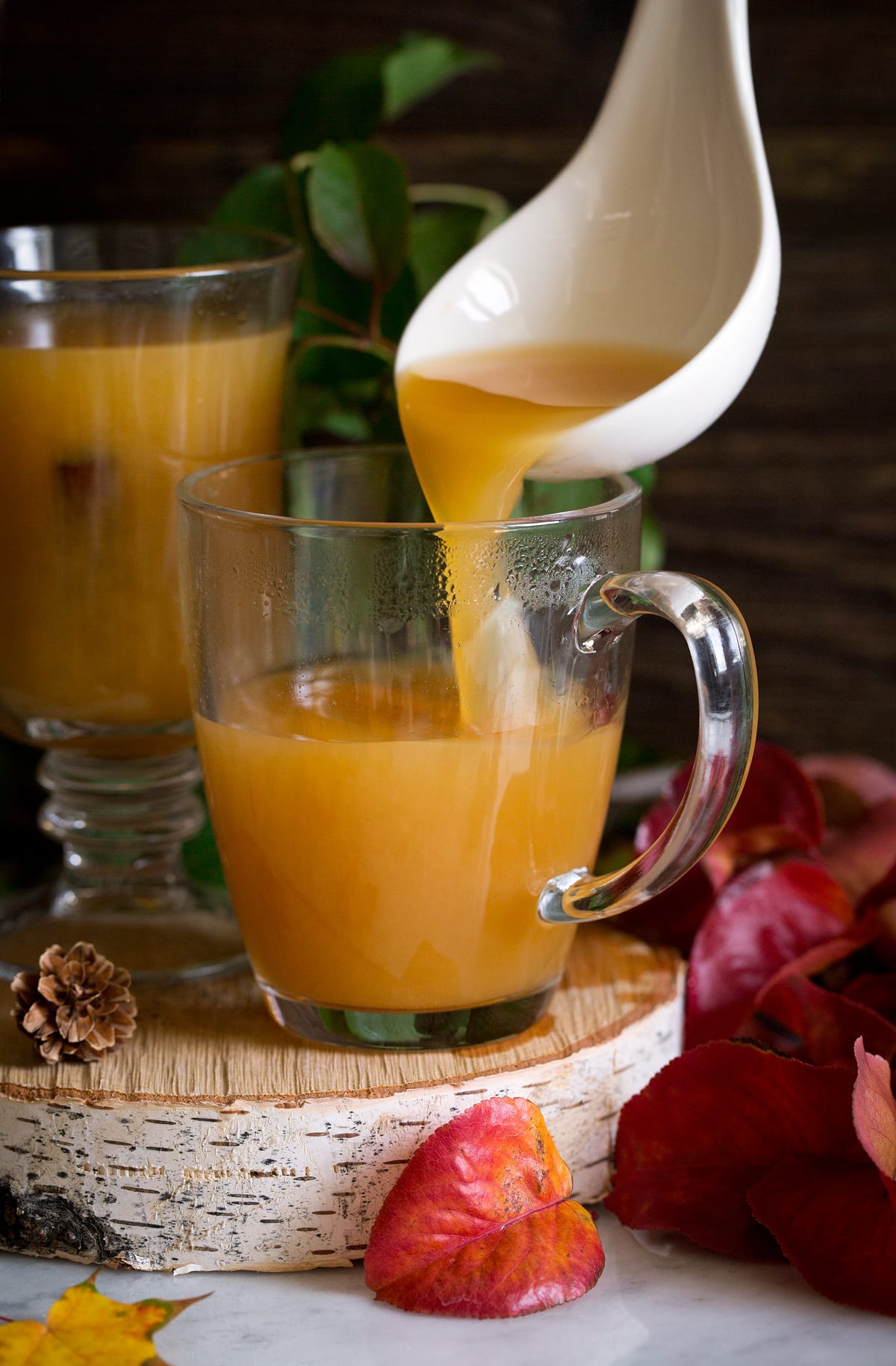 Wassail Warm Autumn Punch