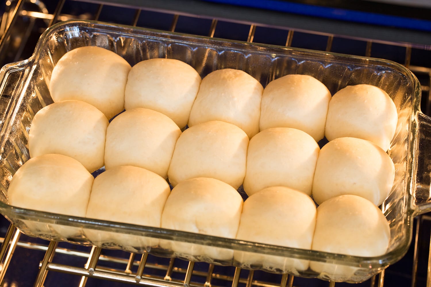 One Hour Dinner Rolls Rolls rising in oven.