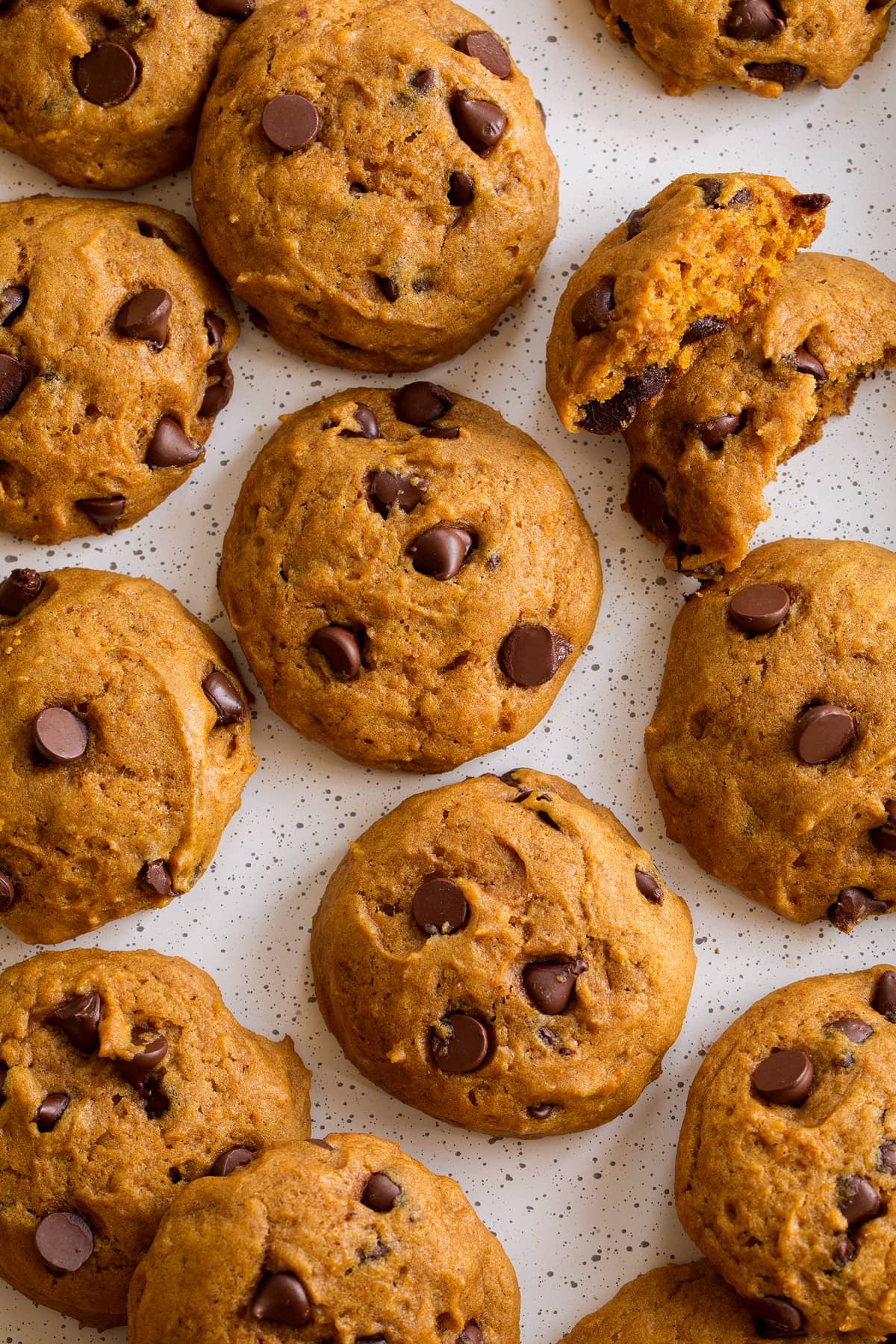 Pumpkin Chocolate Chip Cookies Pumpkin chocolate chip cookies shown overhead on a white baking sheet.