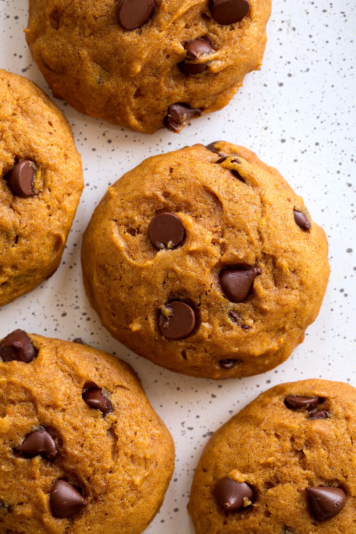 Pumpkin Chocolate Chip Cookies Overhead close up image of pumpkin cookie.