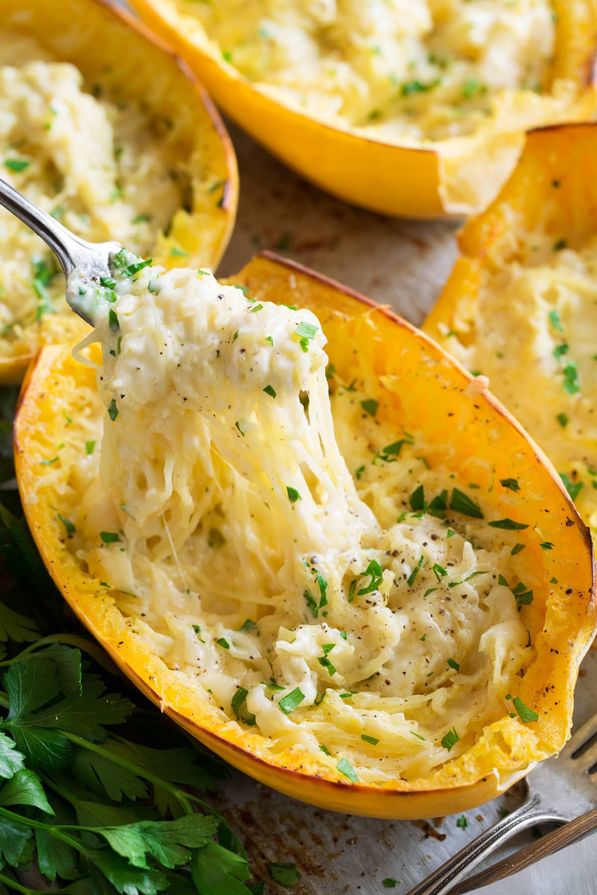Cheesy Spaghetti Squash Cheesy spaghetti squash shown with a fork removing a portion.