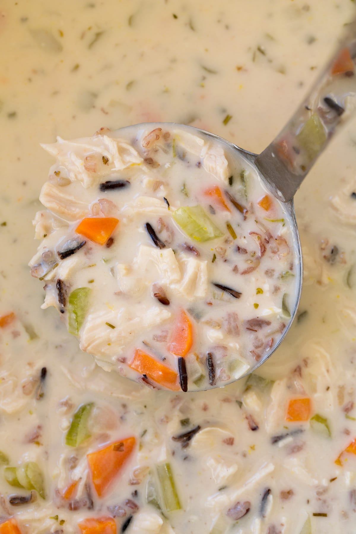 Creamy Chicken and Wild Rice Soup Overhead image of ladle full of chicken and wild rice soup.
