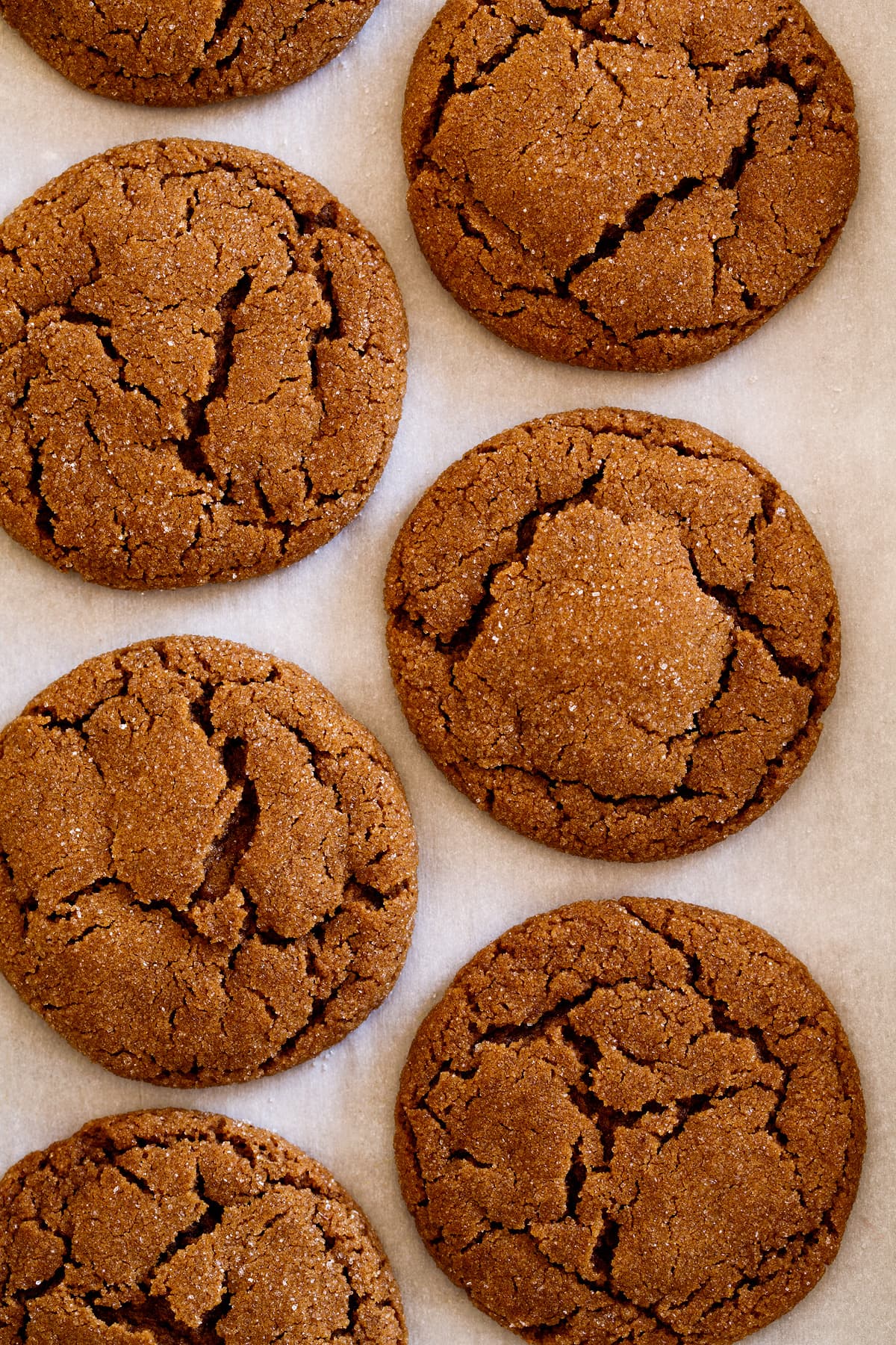 Molasses Cookies Overhead close up image of molasses cookies on parchment paper.