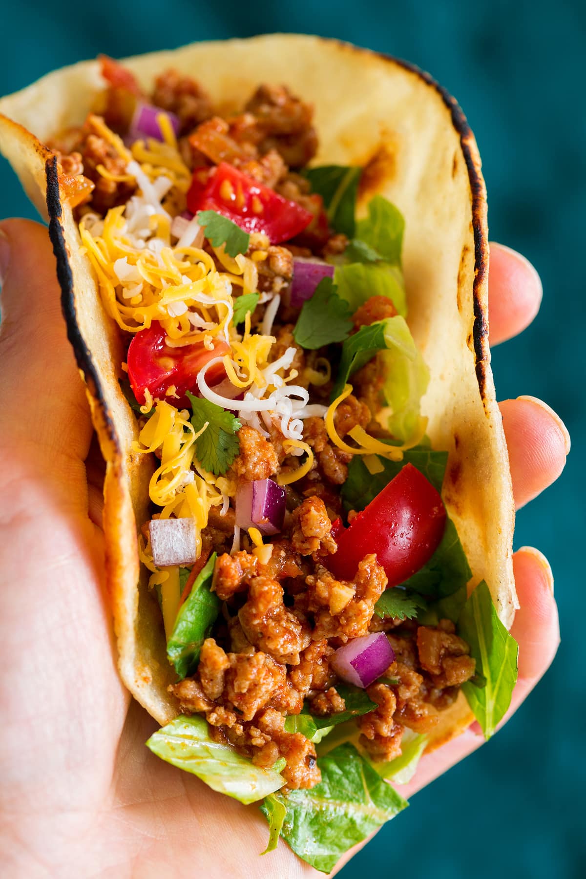 Ground Turkey Tacos Photo: Hand holding a turkey taco shown from the side very close up.
