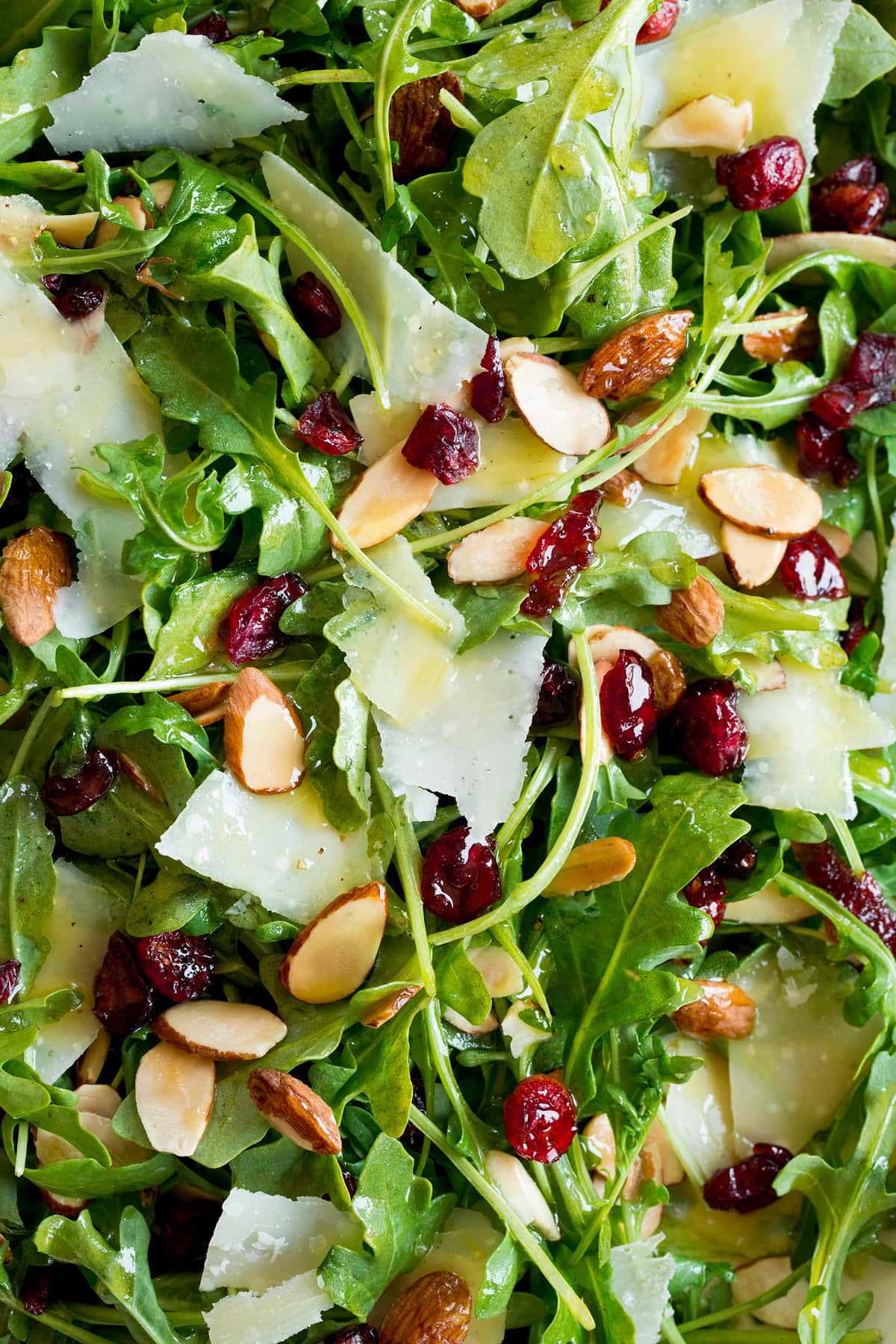 Arugula Salad Close up photo of arugula salad showing baby arugula, dried cranberries, almonds, parmesan and dressing.