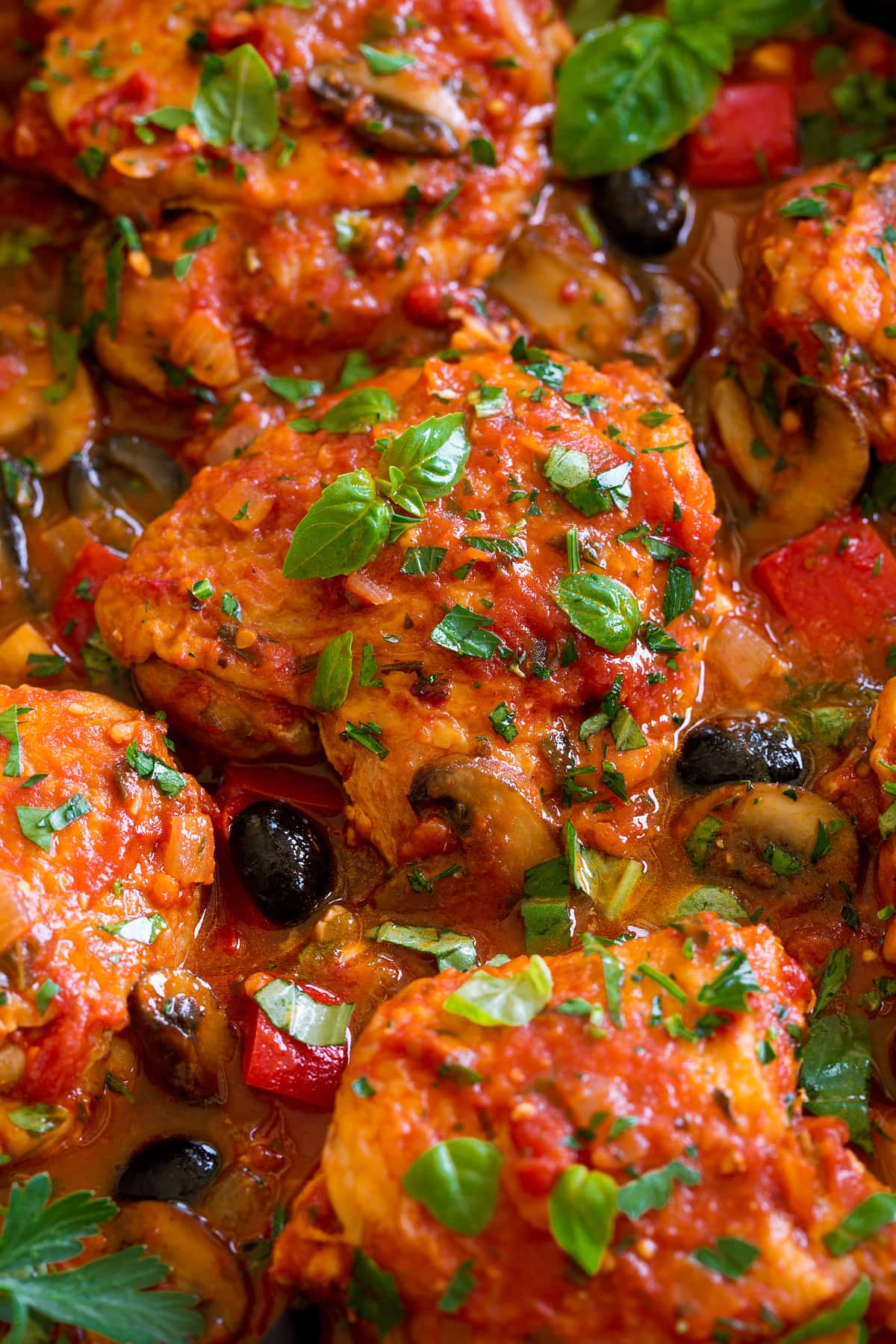 Chicken Cacciatore Close up photo of chicken cacciatore in sauce.