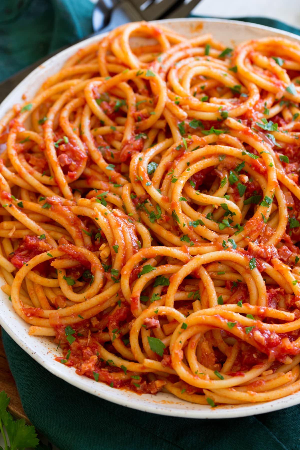 Bucatini all'Amatriciana Close up photo of bucatini all amatriciana.