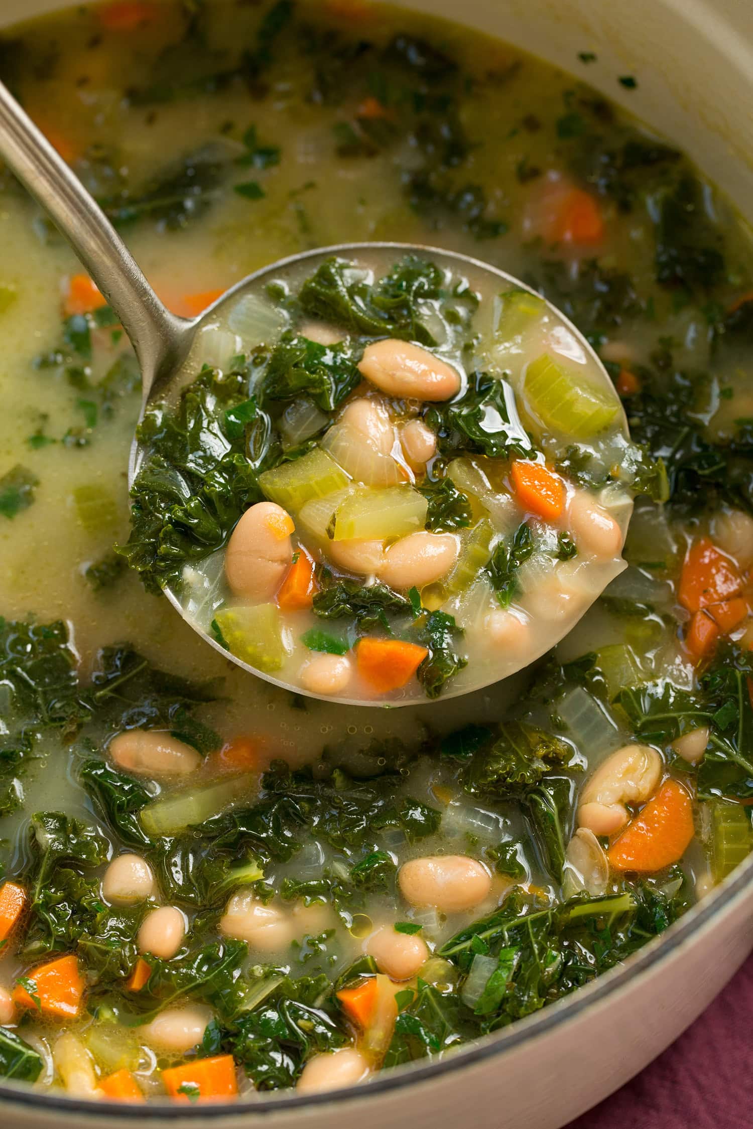 White Bean and Kale Soup Ladle full of white bean kale soup.