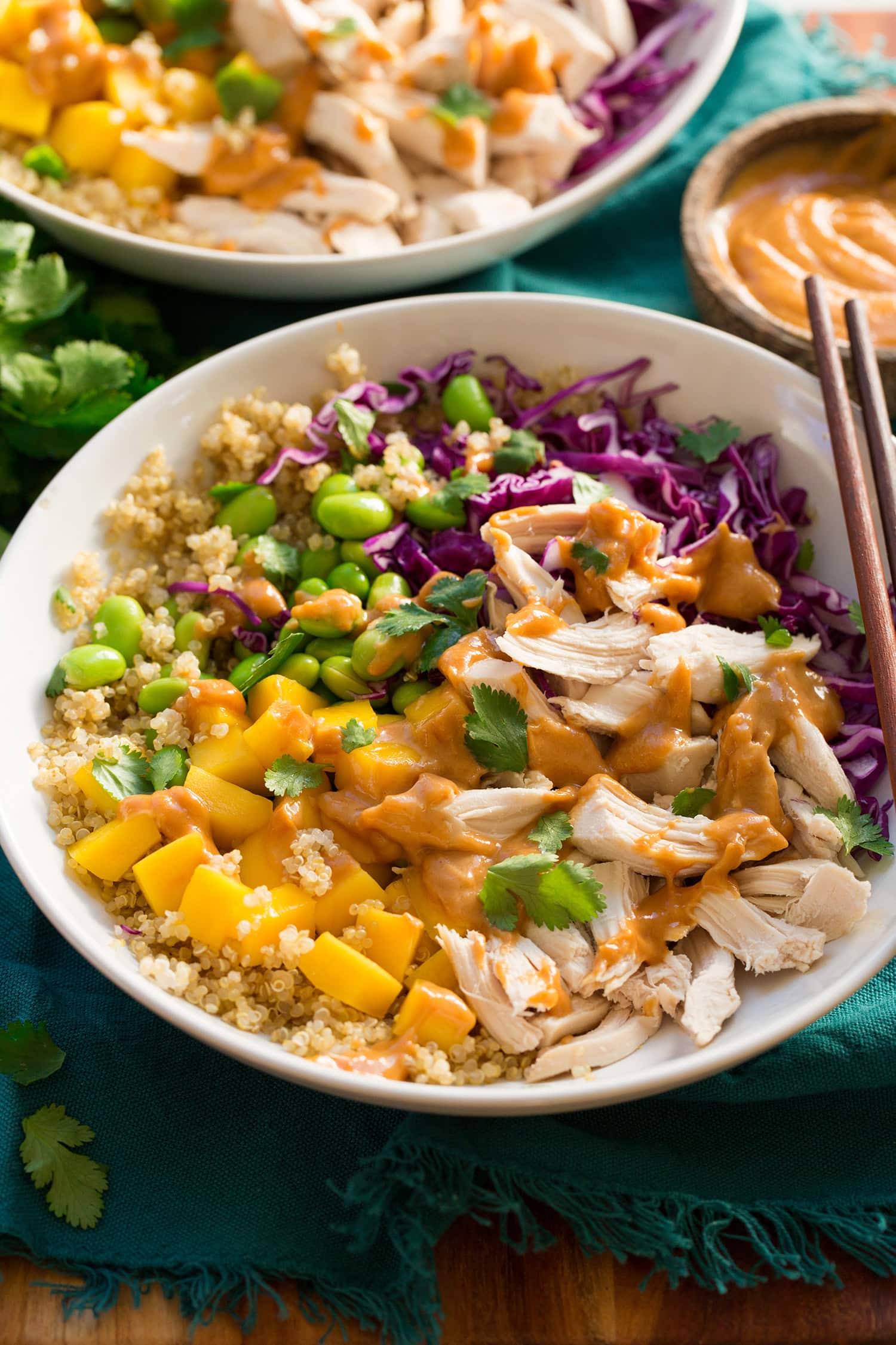 Chicken Protein Bowl Close up photo of protein bowl with chicken, quinoa, edamame, cabbage, mango and peanut sauce.